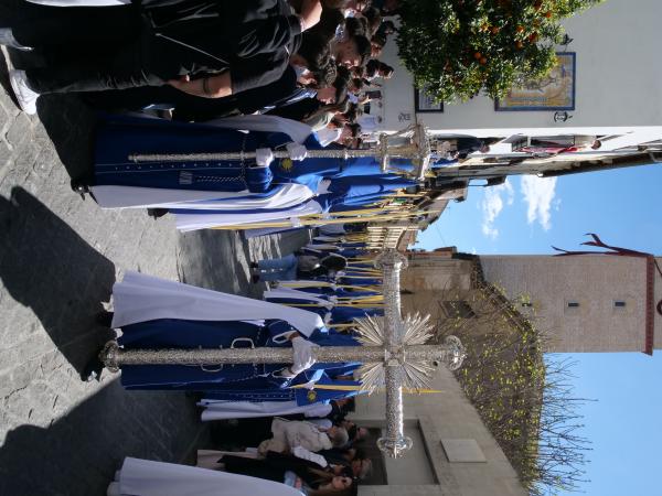 Cofradía Borriquilla Granada: DOMINGO DE RAMOS 2026