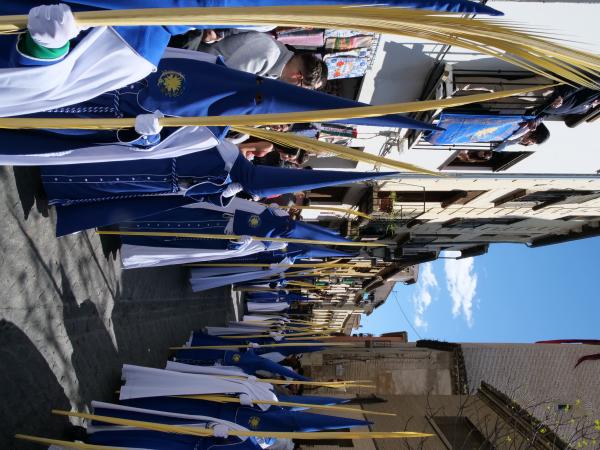 Cofradía Borriquilla Granada: DOMINGO DE RAMOS 2026
