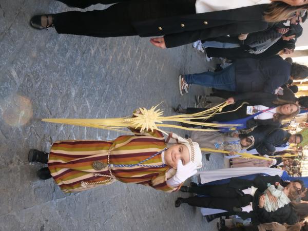 Cofradía Borriquilla Granada: DOMINGO DE RAMOS 2026