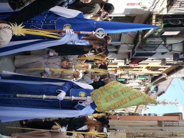 Cofradía Borriquilla Granada: DOMINGO DE RAMOS 2026