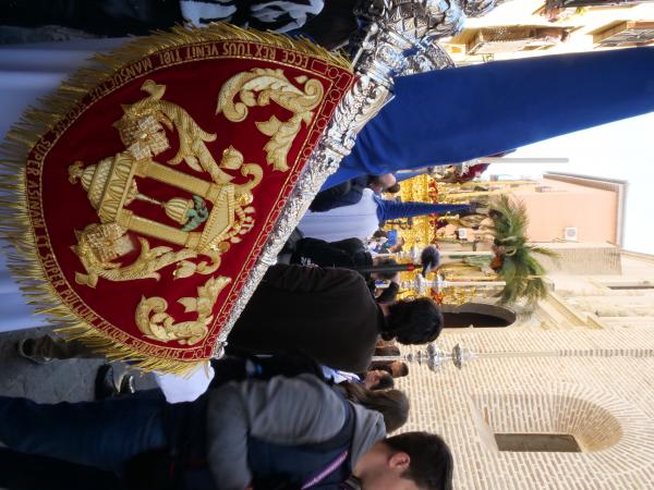 Cofradía Borriquilla Granada: DOMINGO DE RAMOS 2026