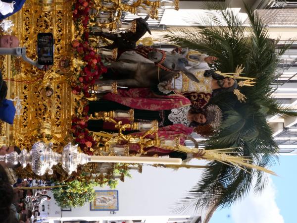 Cofradía Borriquilla Granada: DOMINGO DE RAMOS 2026