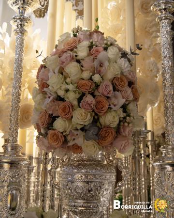 Cofradía Borriquilla Granada: FLOR DEL DOMINGO DE RAMOS 2025