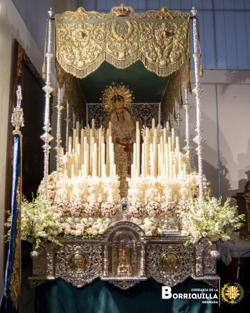 Cofradía Borriquilla Granada: FLOR DEL DOMINGO DE RAMOS 2025