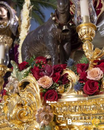 Cofradía Borriquilla Granada: FLOR DEL DOMINGO DE RAMOS 2025