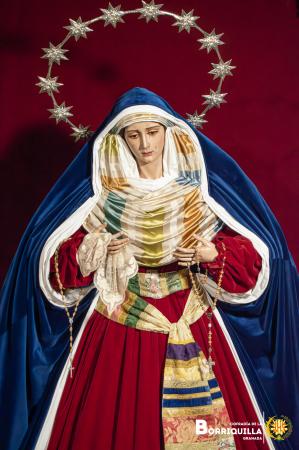 Cofradía Borriquilla Granada: NTRA. SRA. DE LA PAZ CUARESMA 2026