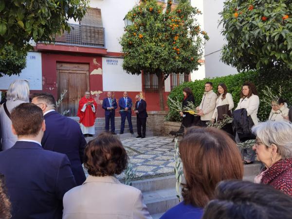 Cofradía Borriquilla Granada: MAÑANA DEL DOMINGO DE RAMOS - 28 DE MARZO 2026