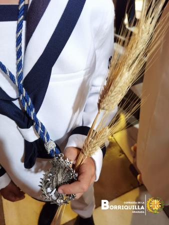Cofradía Borriquilla Granada: PROCESIÓN CORPUS CHRISTI 2026